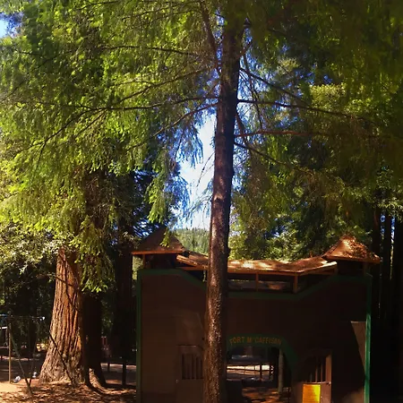 Redwoods River Resort & Campground-3